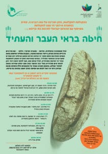 חיטה בראי העבר והעתיד - הפורום הישראלי לתזונה בת קיימא