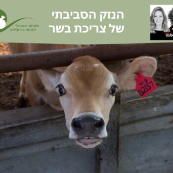הנזק הסביבתי של צריכת בשר