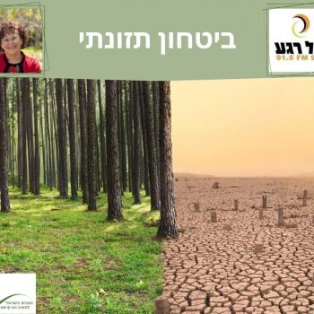 ביטחון תזונתי
